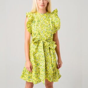 Banjanan Audrey Mini Dress in "Audrey Sprig Aurora" floral print